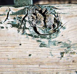 Similar image 10891007