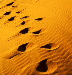 Similar image 10890871