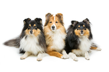 Similar image 10894444