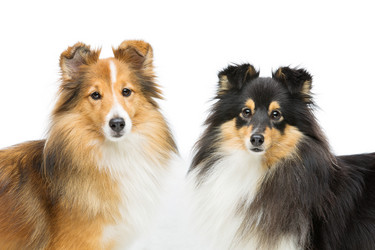 Similar image 10894445