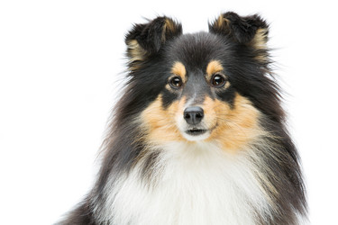 Similar image 10894458