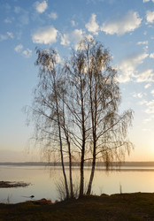 Similar image 10892930