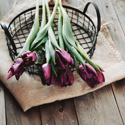 Similar image 10890226