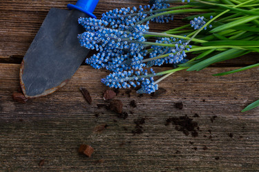 Similar image 10891512