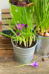 Similar image 10891513