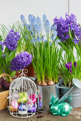 Similar image 10891515