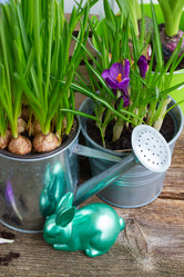 Similar image 10891549