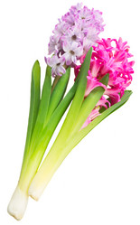 Similar image 10891550