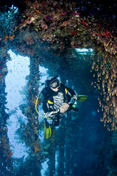 Similar image 10890039