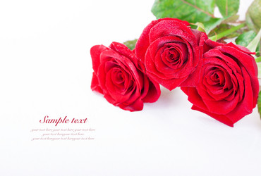 Similar image 10890091