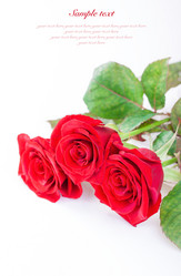 Similar image 10890302