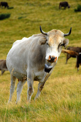 Similar image 10892384