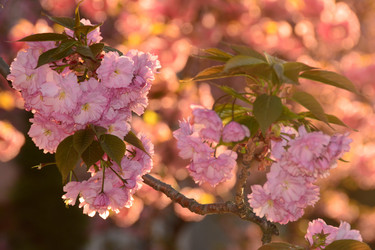 Similar image 10892385