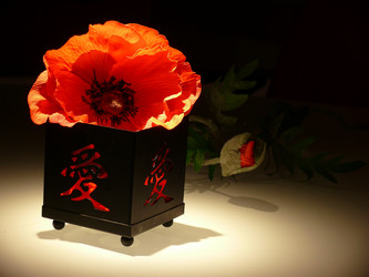 Similar image 10892040