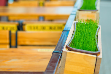 Similar image 10907535