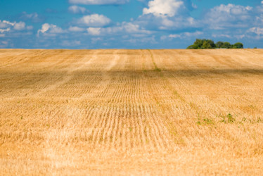 Similar image 10907551