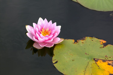 Similar image 10891061