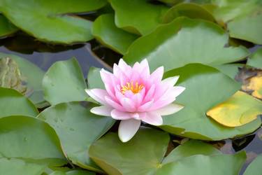 Similar image 10891062