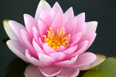 Similar image 10891017