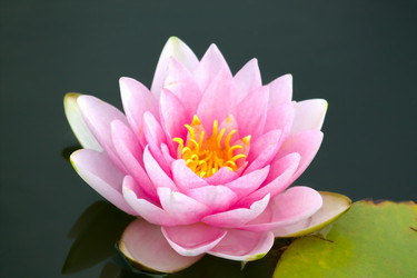 Similar image 10891063