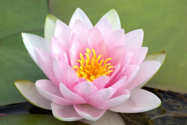 Similar image 10891018