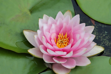 Similar image 10891075