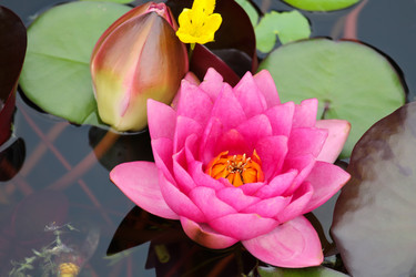 Similar image 10891076