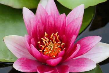 Similar image 10891078