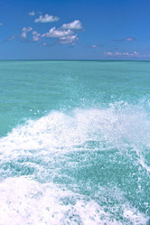 Similar image 10891024