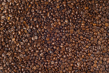 Similar image 10895559