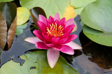 Similar image 10892961