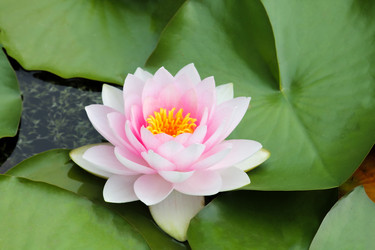 Similar image 10892962