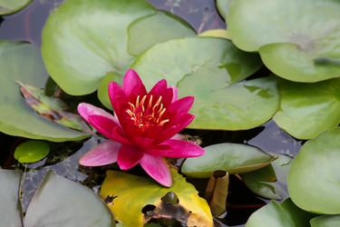 Similar image 10892963