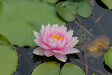 Similar image 10892964