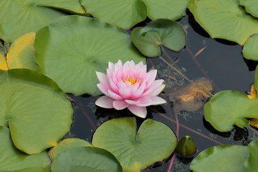 Similar image 10892985