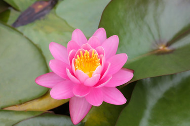 Similar image 10892986