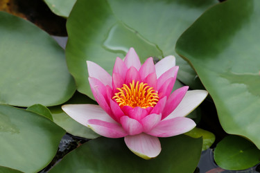 Similar image 10892987