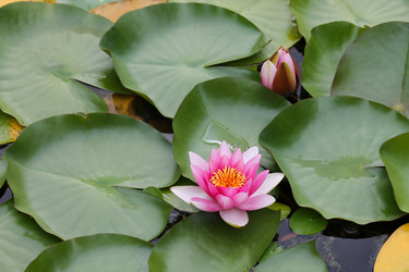 Similar image 10892988