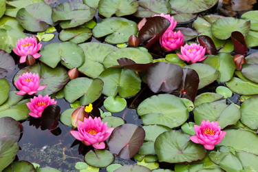 Similar image 10892989