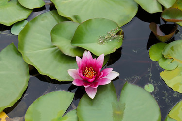 Similar image 10892990