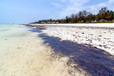 Similar image 10893990