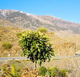 Similar image 10894030