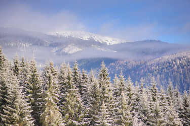 Similar image 10892965