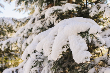 Similar image 10892966