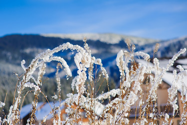 Similar image 10892968