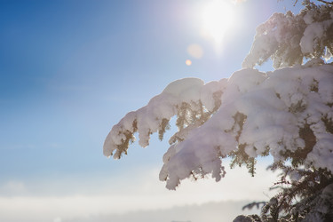 Similar image 10892969