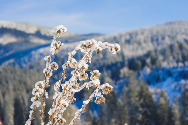 Similar image 10892970