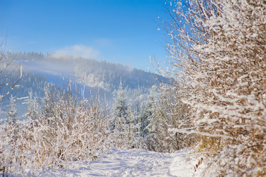 Similar image 10892971