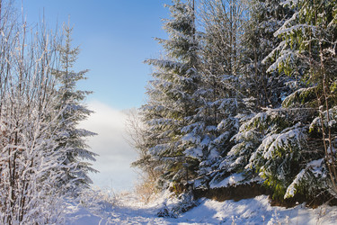 Similar image 10892972