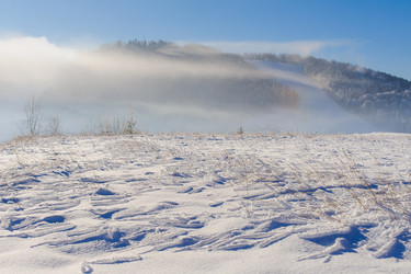 Similar image 10892974